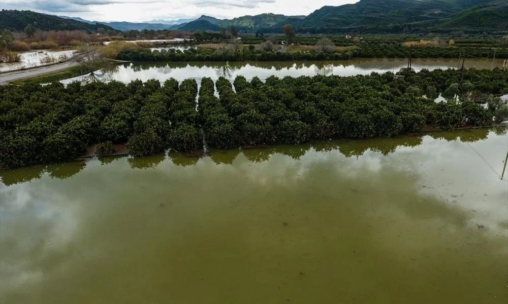 Κακοκαιρία: Υπερχείλισε ο Αλφειός και κατεβαίνει στην Αρχαία Ολυμπία